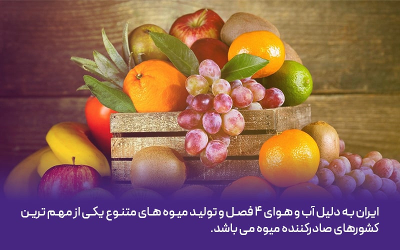 صادرات میوه از ایران