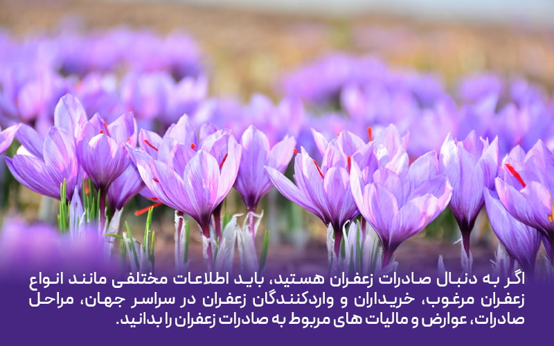 صادرات زعفران ایران